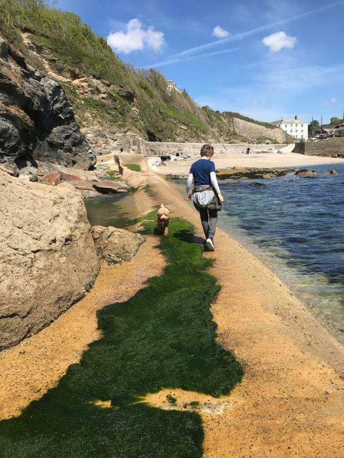 Starfish Cottage- Private Beach Access- Dog Friendly Charlestown  Eksteriør billede